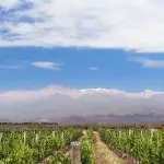 Bodegas d’Argentine : sur la route des vins argentins
