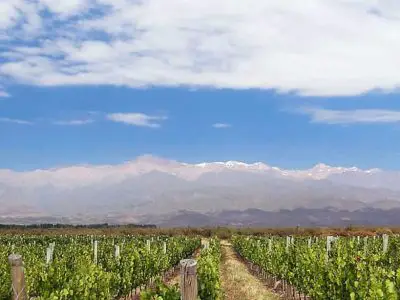 Bodegas d’Argentine : sur la route des vins argentins