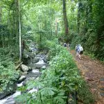 Pourquoi faire du trekking et des randonnées au Costa Rica ?