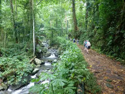 Pourquoi faire du trekking et des randonnées au Costa Rica ?