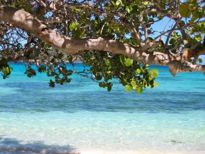 Les plages à La Barbade