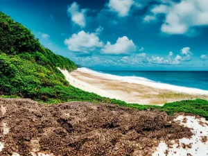 10 incontournables de la Guadeloupe
