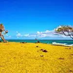 Comprendre le climat de la Guadeloupe : ce que vous devez savoir avant de partir