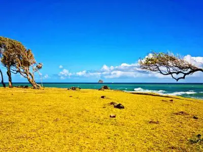 Comprendre le climat de la Guadeloupe : ce que vous devez savoir avant de partir