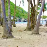 Quels sont les meilleures activités à faire en Guadeloupe selon la saison ?
