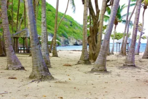 meilleures activités à faire en Guadeloupe