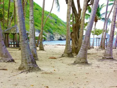 Quels sont les meilleures activités à faire en Guadeloupe selon la saison ?