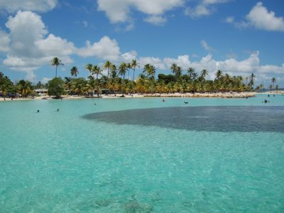 Les plus belles plages de la Guadeloupe : sable blanc, eaux cristallines et palmiers