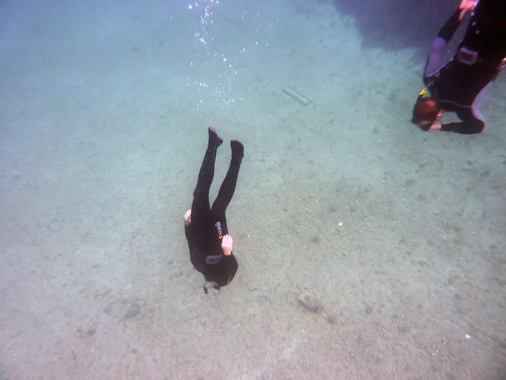 Plongée en apnée en Guadeloupe : les meilleurs spots