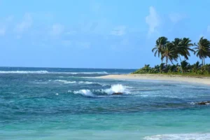 Visite guidée de Pointe-à-Pitre
