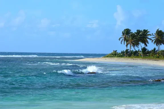 Visite guidée de Pointe-à-Pitre