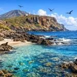 Île Clarion : le joyau sauvage et méconnu du Pacifique mexicain