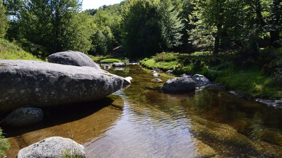 Rivières et destinations : adapter votre choix au “type de bassin”