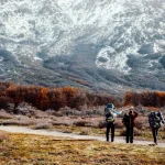 Quand partir en Patagonie ? Meilleure période pour trek et routes