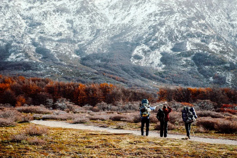 Quand partir en Patagonie ? Meilleure période pour trek et routes